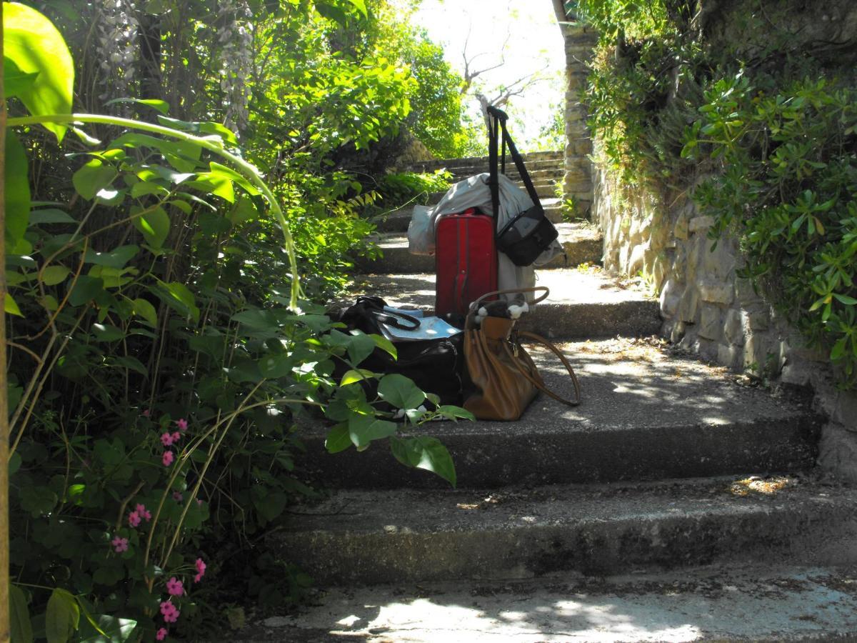Bed And Breakfast Il Governatore Urbino Exterior photo