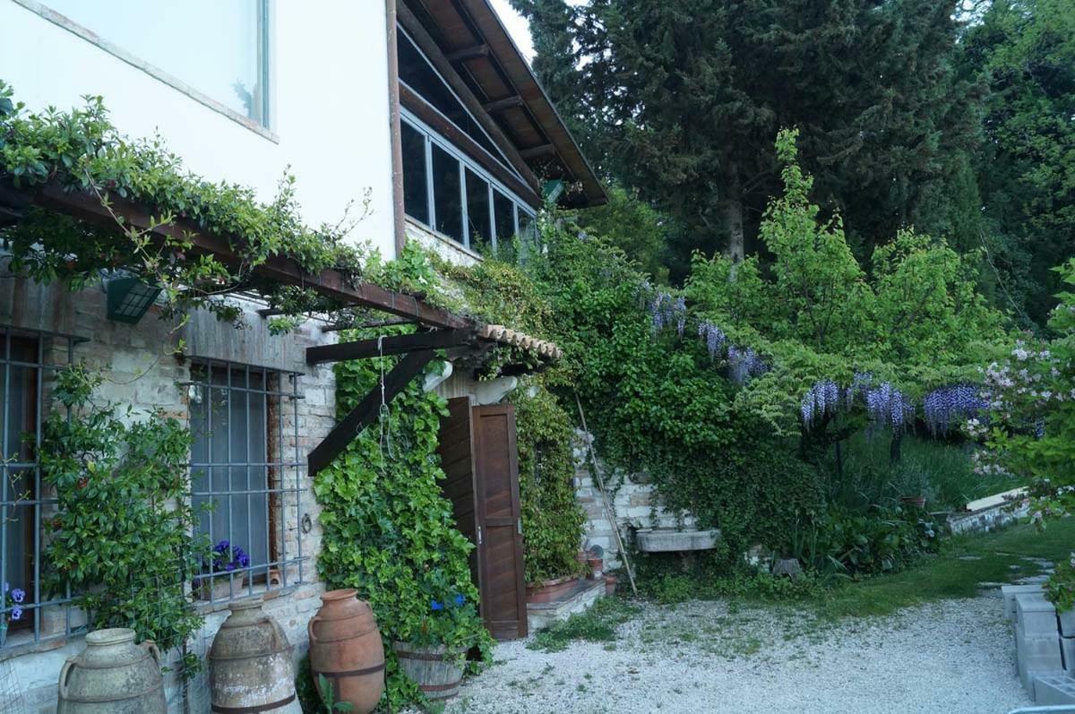 Bed And Breakfast Il Governatore Urbino Exterior photo